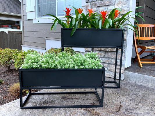 Growing Bromeliads