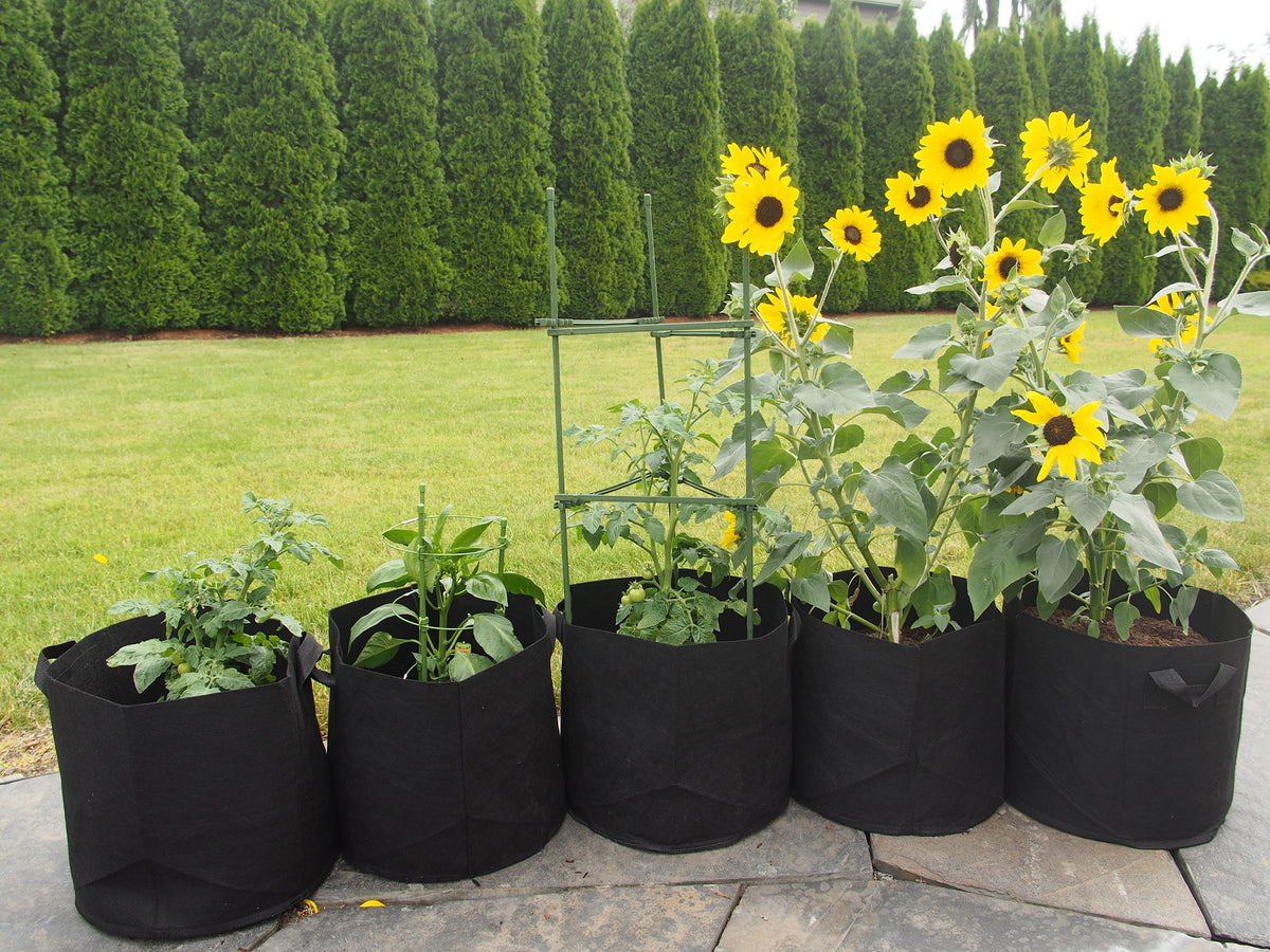 Benefits of Using Fabric Grow Bags Over Planters – ECOgardener