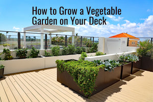 How to Grow a Vegetable Garden on Your Deck