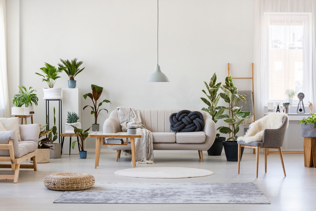 The Art of Green Living: Integrating Plants and Decor for a Serene Home