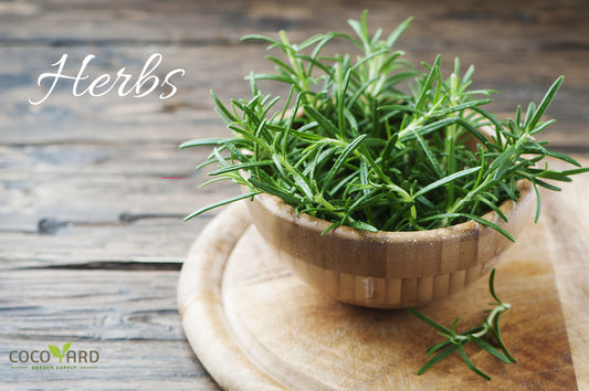 Herbs