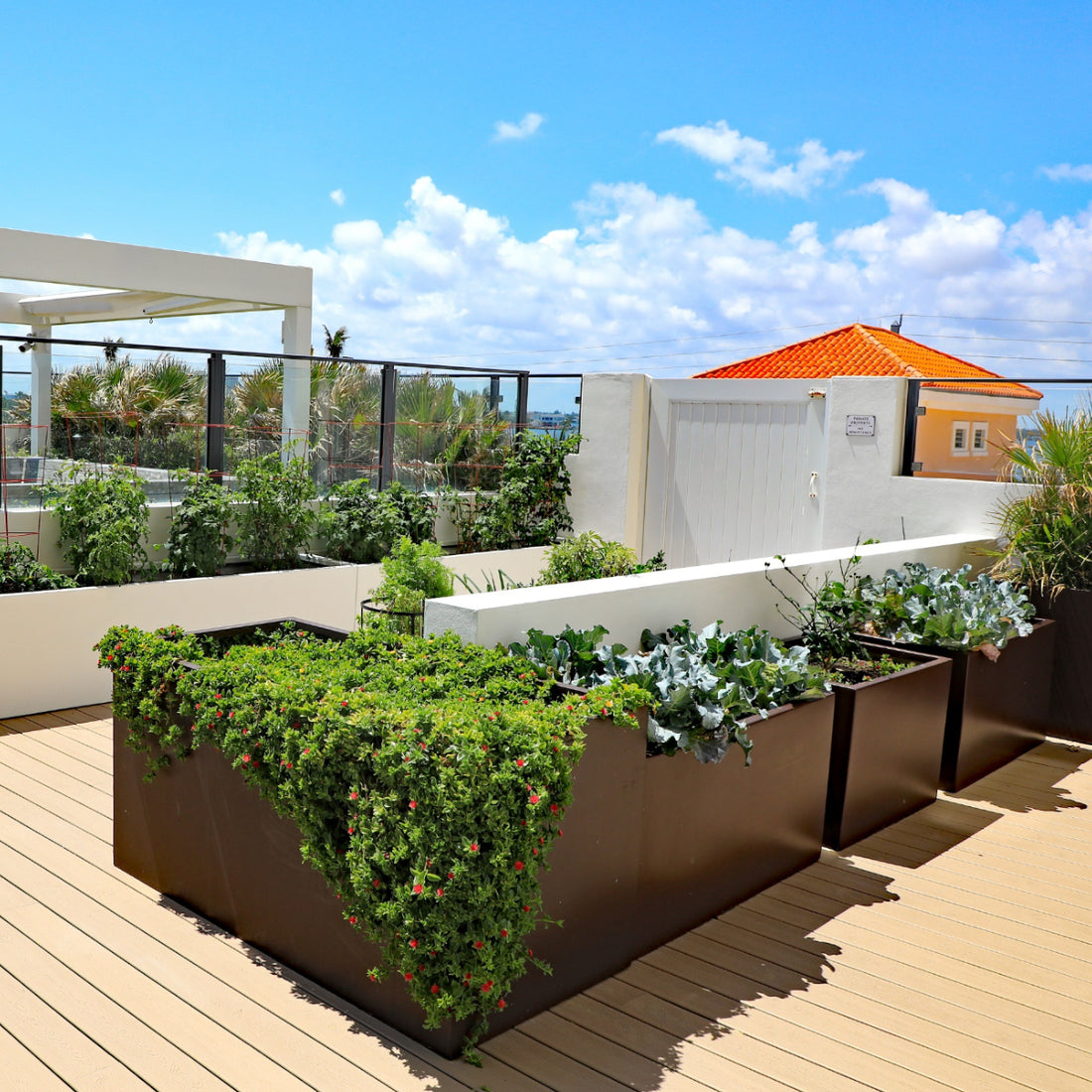 How To Garden In Planter Boxes