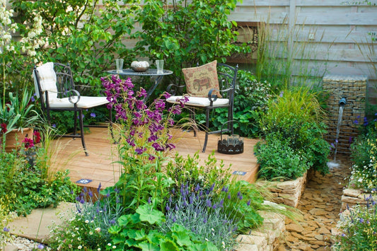 Outdoor Plants for a Lush, Vibrant, and Peaceful Garden