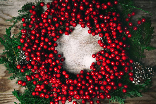 Traditional Christmas Flower and Plant Care Guide