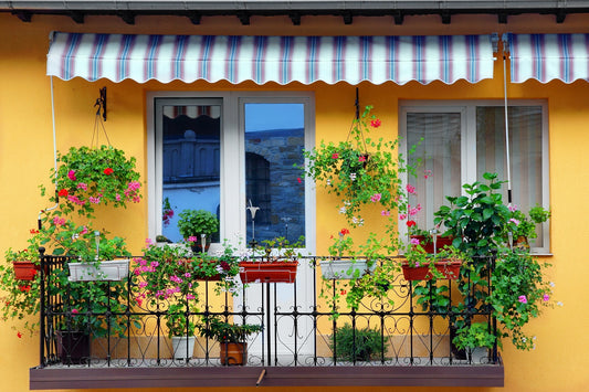How to Start a Garden or Nursery in Your Apartment/Home?