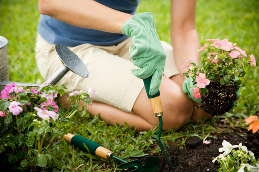 10 Effective Gardening Techniques for the Care of Our Plants and Garden