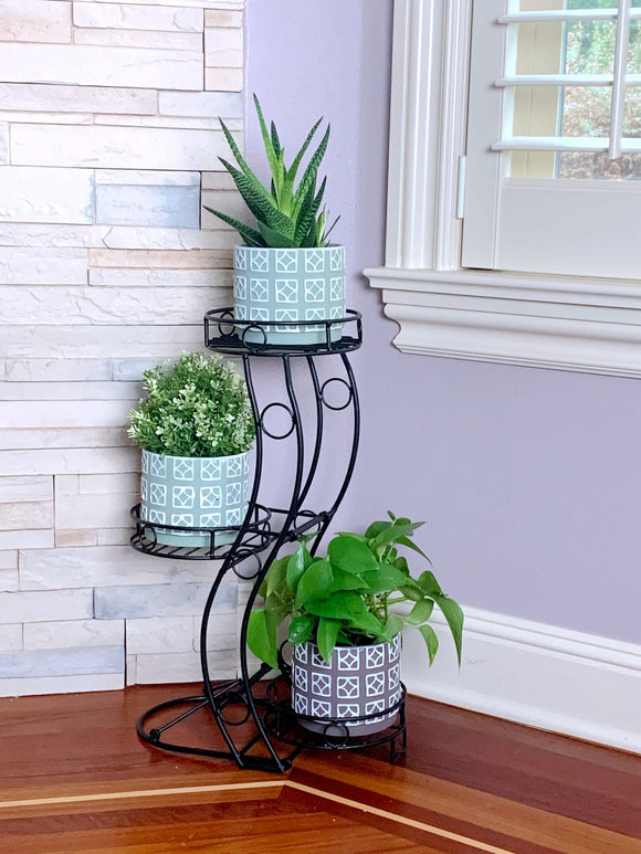 Plant Stands and Plant Caddies