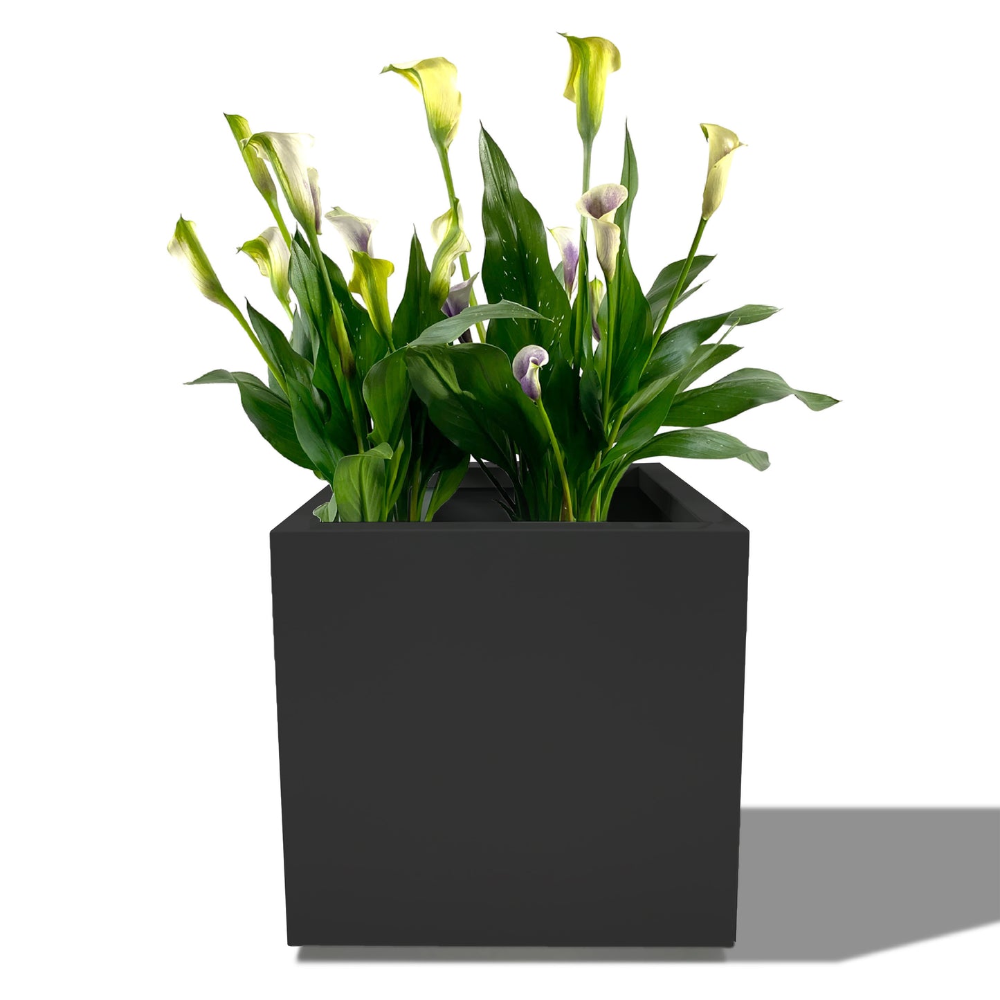 Cocoyard Metal Cube Planter, Black