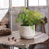6 Inches Cement Planter Pot Including Drainage Hole, Gray