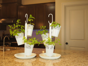 Indoor herb garden