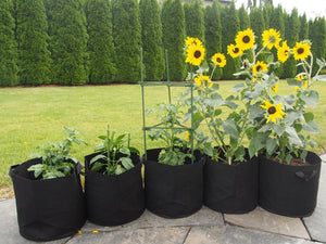 What are the Advantages of Nonwoven Grow Bags for gardening?