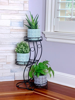 Finding the Best Metal Plant Stand in the Market
