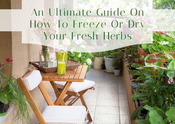 An Ultimate Guide on How to Freeze or Dry Your Fresh Herbs