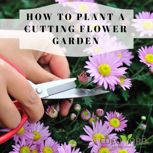 How To Plant A Cutting Flower Garden