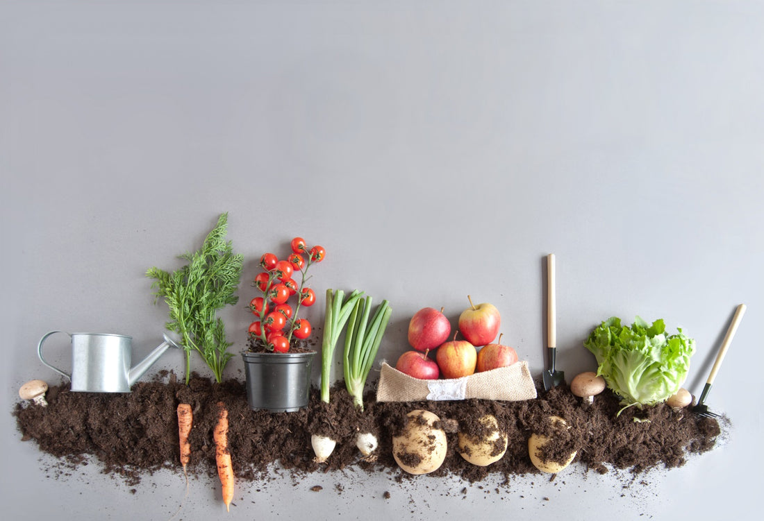 Composting Coffee Ground