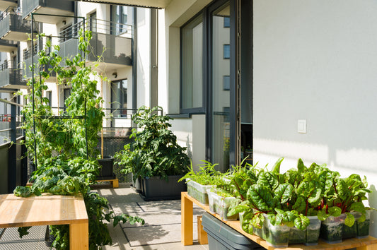 Elevated Planters Ideas: The Secret to a  Stunning Backyard Makeover