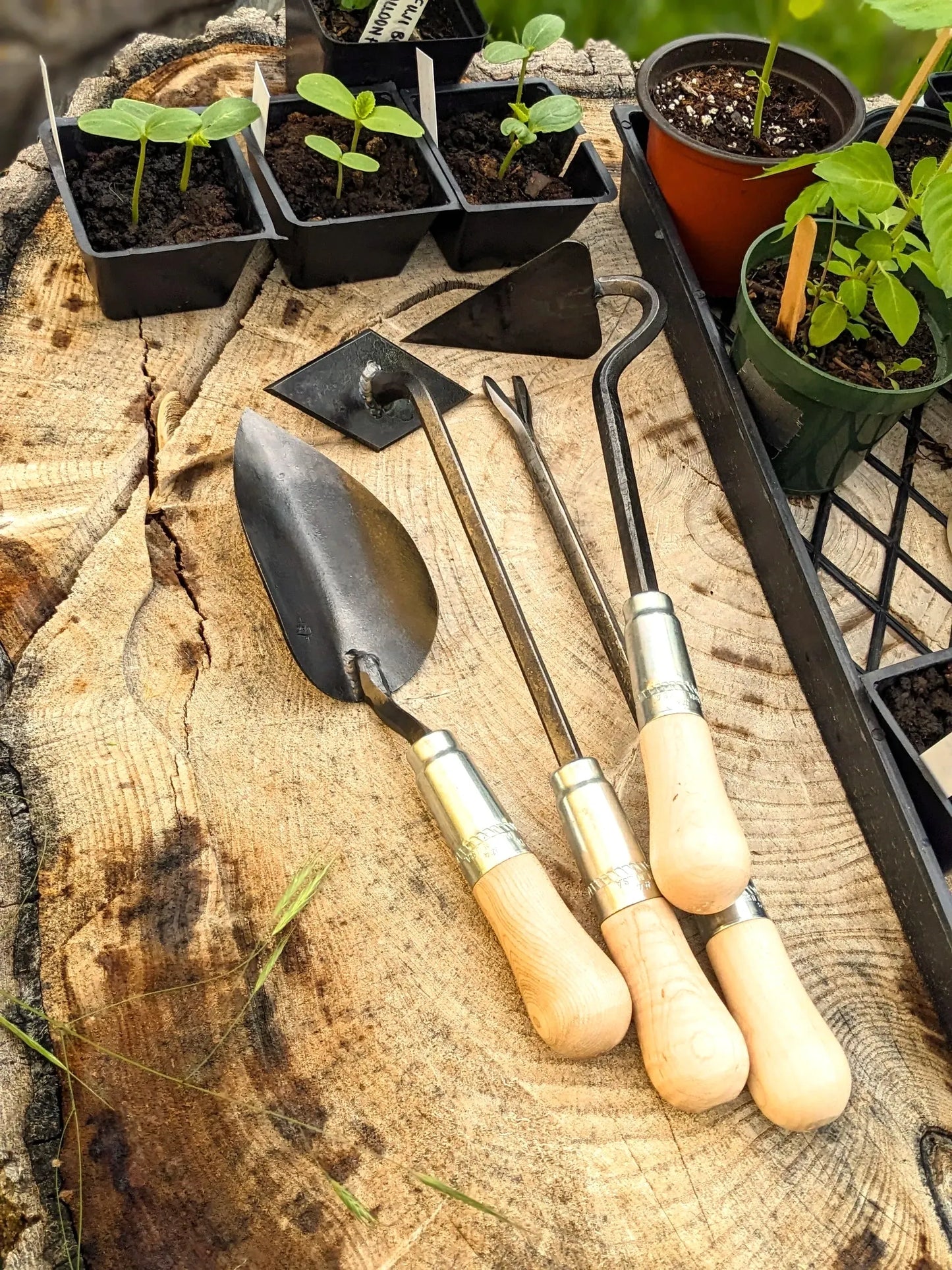4 Piece Gift Set: Scuffle Weeder, Large Trowel, V-Hoe & Weeding Fork