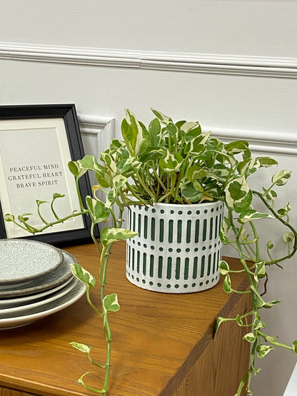 Set of 2 Cement Planter Pots Including Drainage Holes