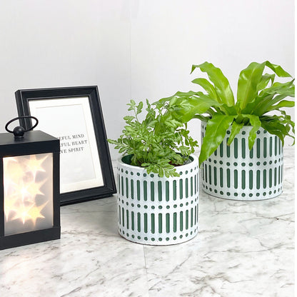 Set of 2 Cement Planter Pots Including Drainage Holes